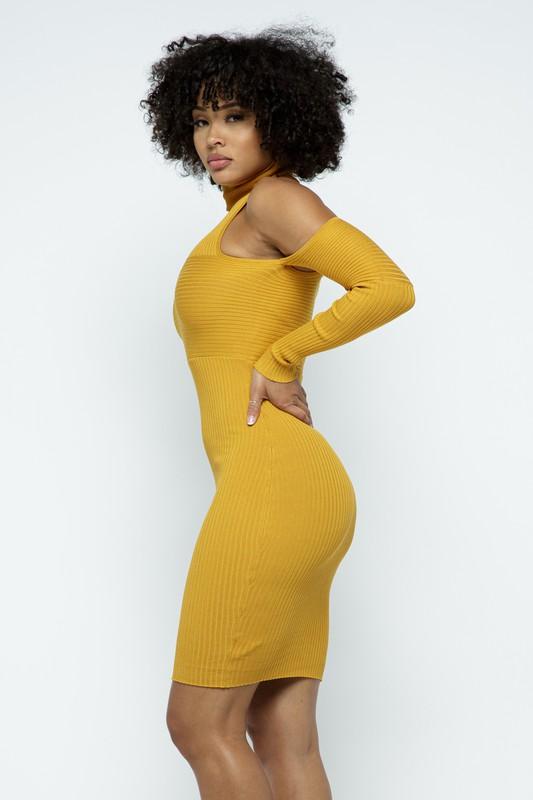 TURTLENECK ONE SHOULDER MINI DRESS - Tonico Brand